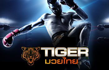 tiger boxing