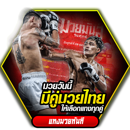 มวยวันนี้