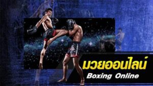 แทงมวยไทยออนไลน์ แทงมวยครบวงจร พร้อมทีเด็ดแม่นๆ ทุกวัน