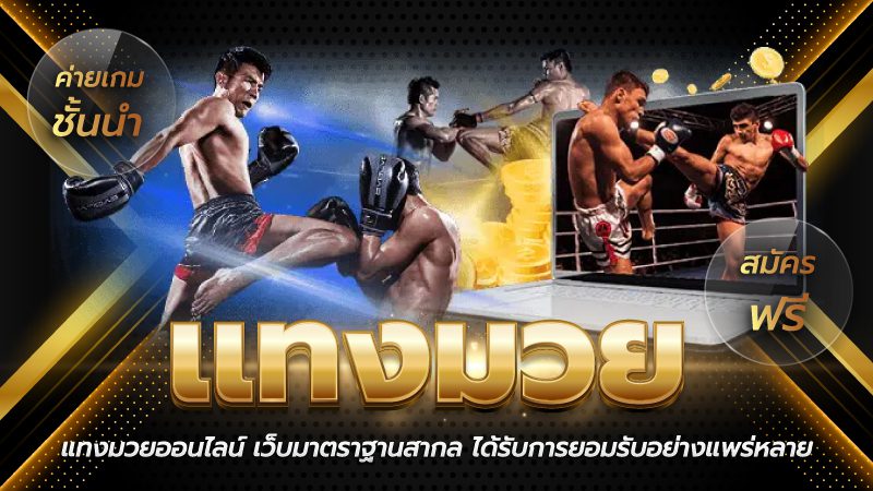 แทงมวยไทยออนไลน์คืออะไร?